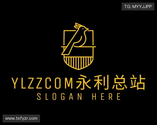 关于ylzzcom永利总站